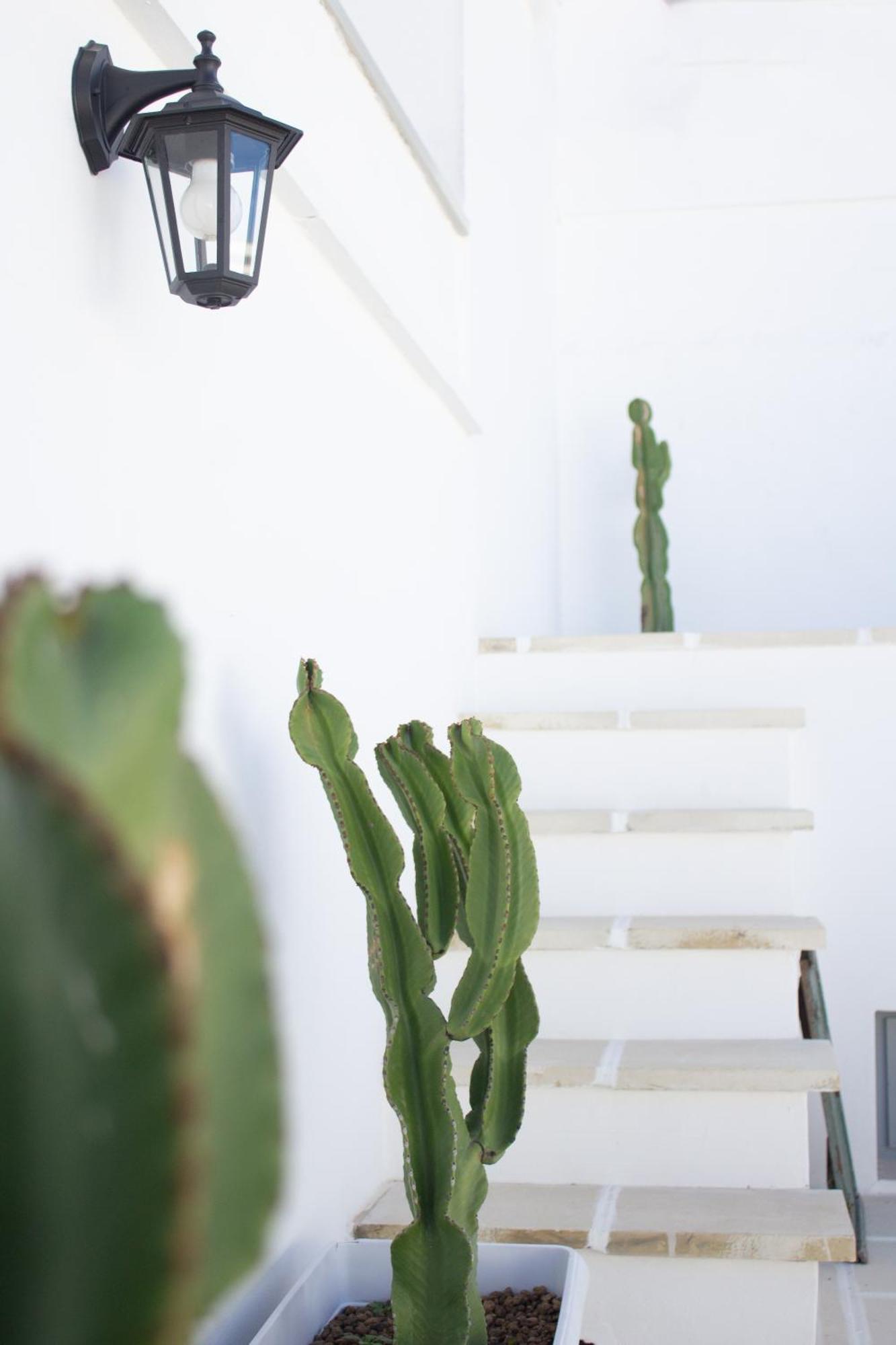 Dimora Laure Apartment Fasano Luaran gambar